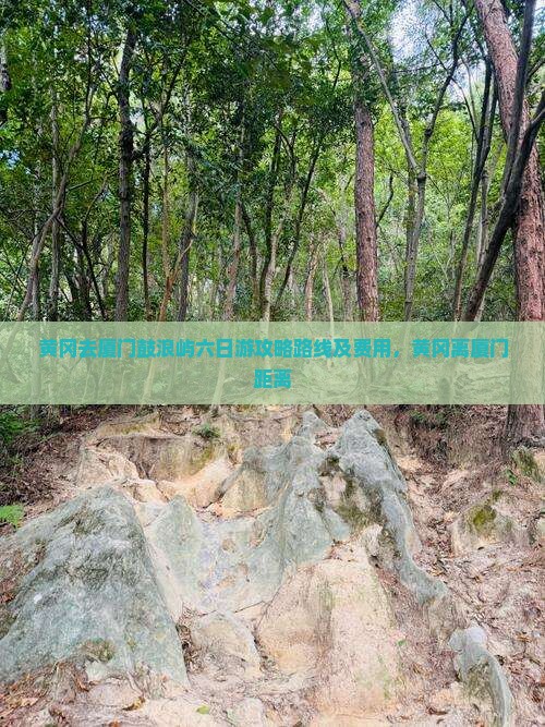 黄冈去厦门鼓浪屿六日游