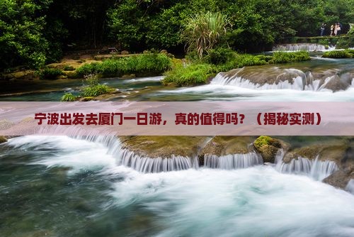 宁波去厦门一日