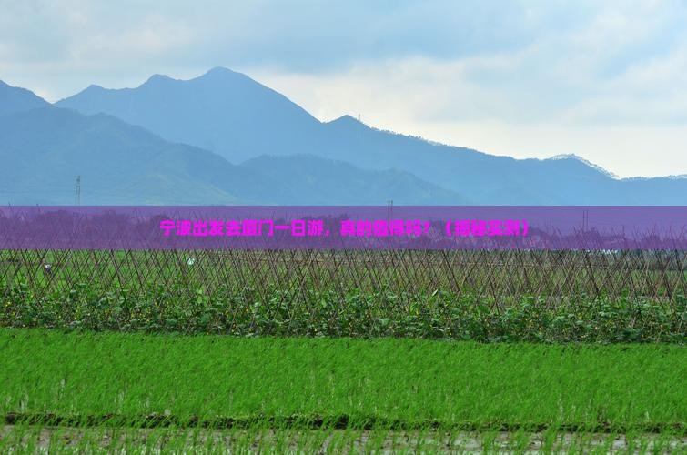宁波去厦门一日