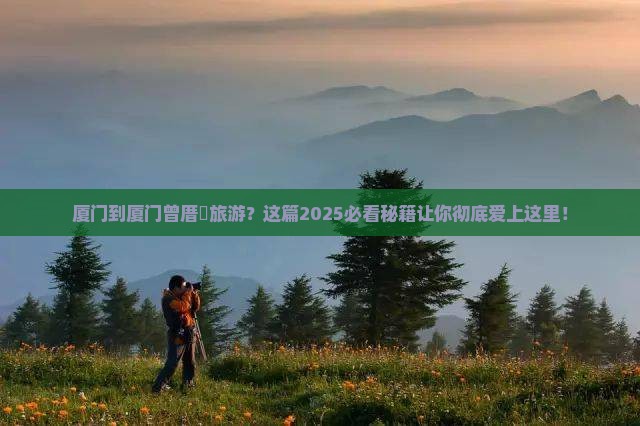 厦门到厦门曾厝埯旅游