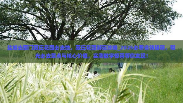 盐城去厦门菽庄花园必去地