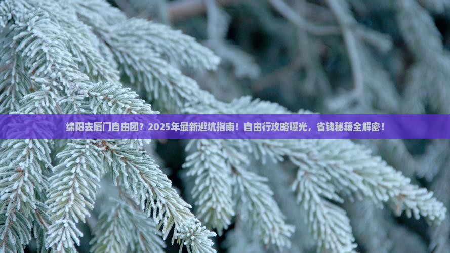 绵阳去厦门自由团