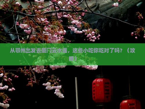 鄂州到厦门云水谣旅游小吃