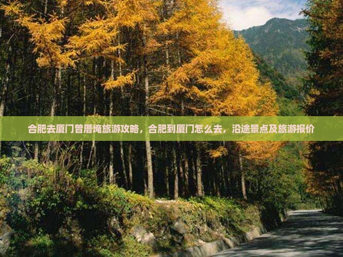 合肥去厦门曾厝埯旅游 合肥去厦门曾厝埯旅游