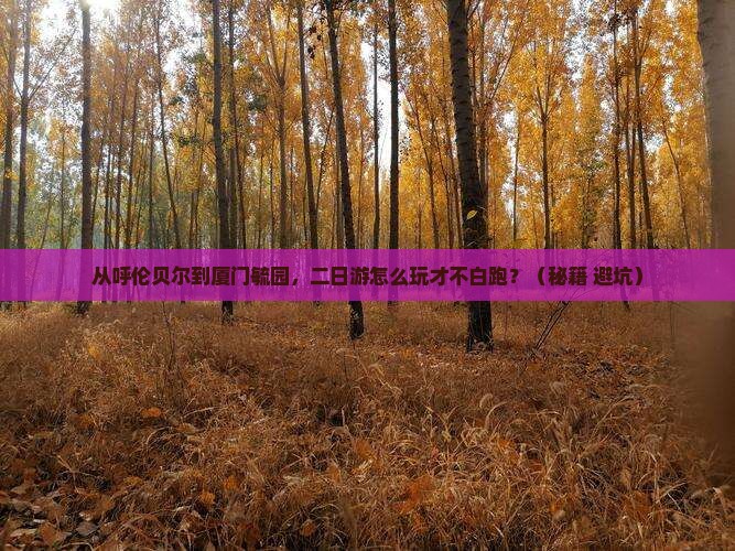 呼伦贝尔去厦门毓园二日游