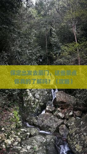 保定到厦门景点