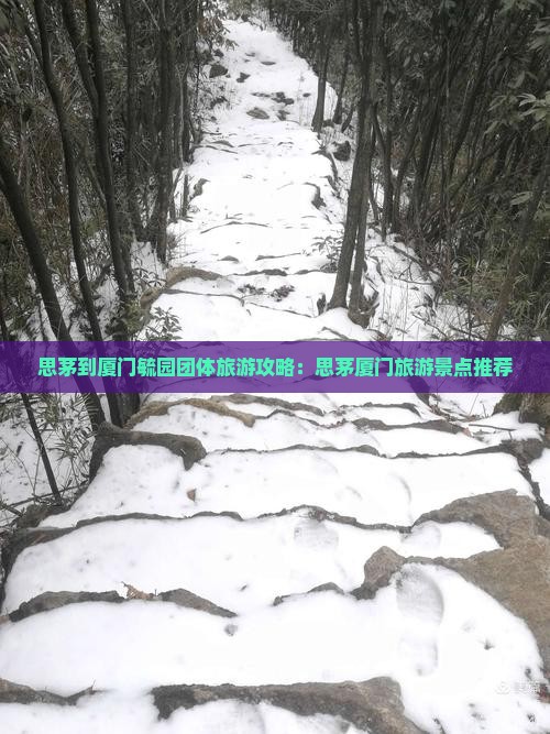 思茅到厦门毓园团体旅游