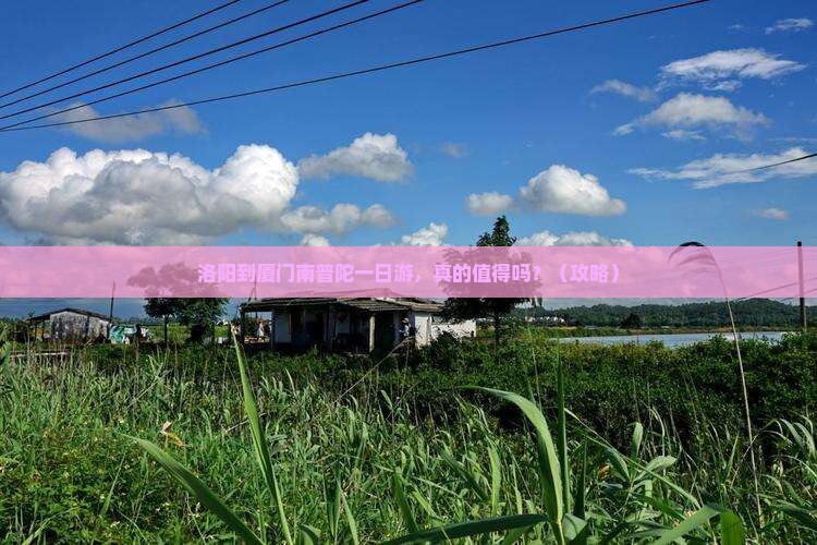 洛阳到厦门南普陀一日