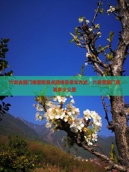 六安去厦门南普陀景点