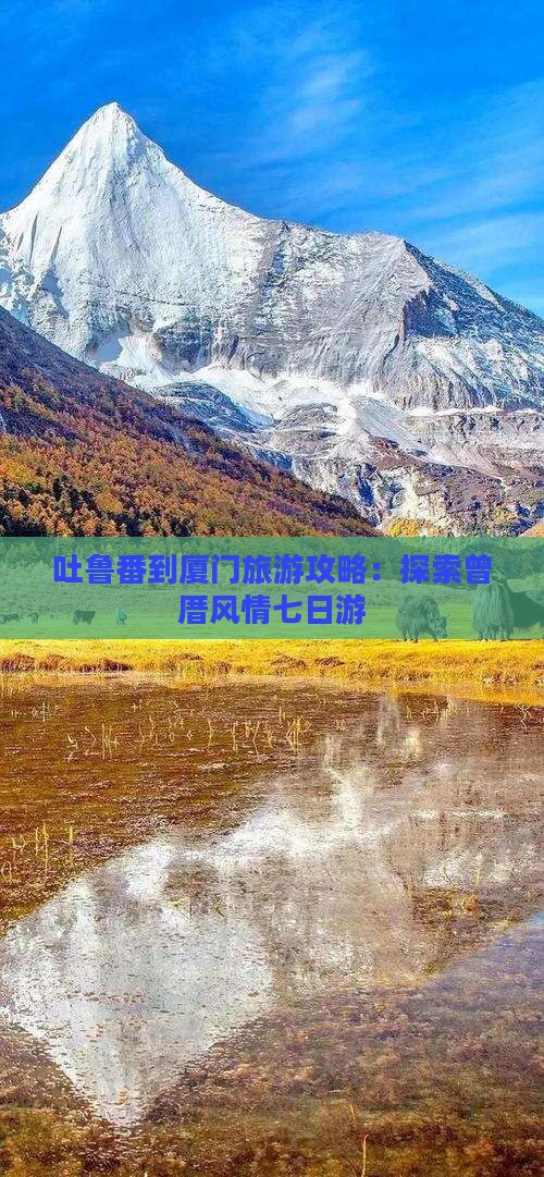 吐鲁番到厦门曾厝埯七日游