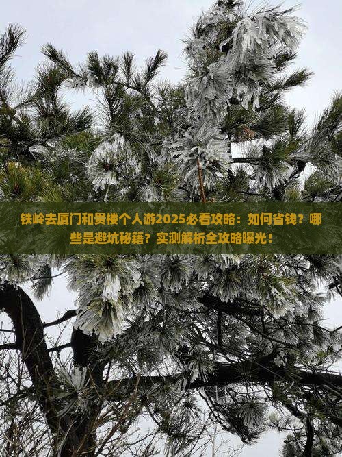 铁岭去厦门和贵楼个人游