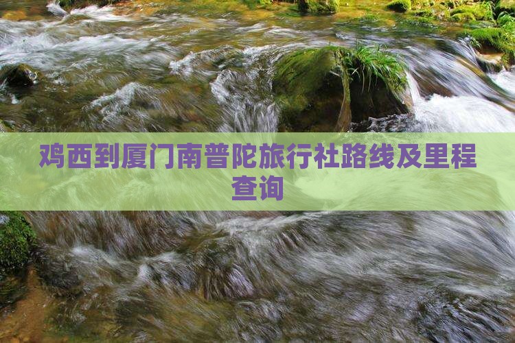 鸡西到厦门南普陀旅行社