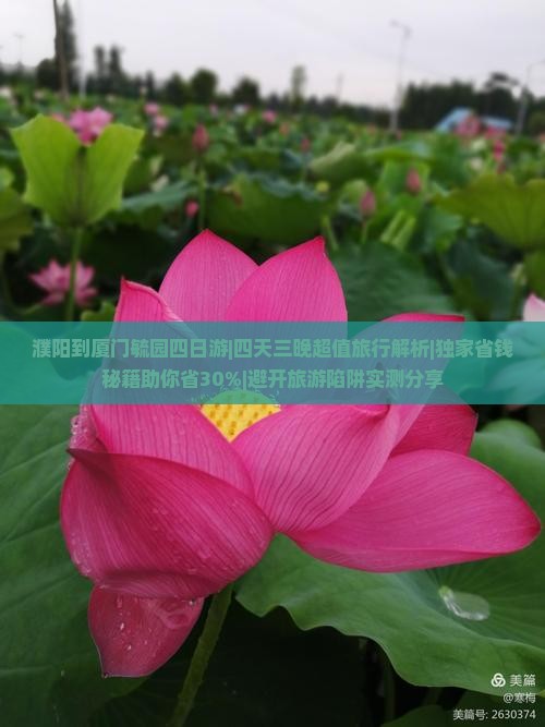 濮阳到厦门毓园四日游