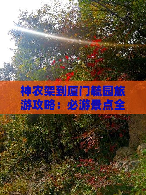 神农架到厦门毓园团体旅游