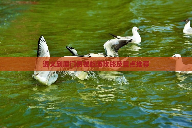 遵义到厦门和贵楼攻略