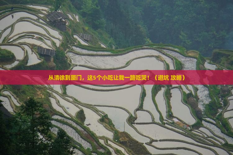 清徐到厦门旅游小吃