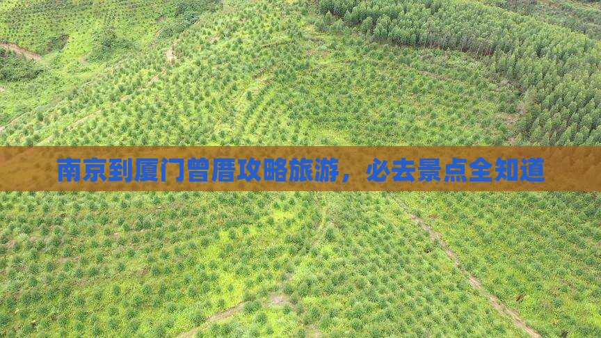 南京到厦门曾厝埯哪里玩