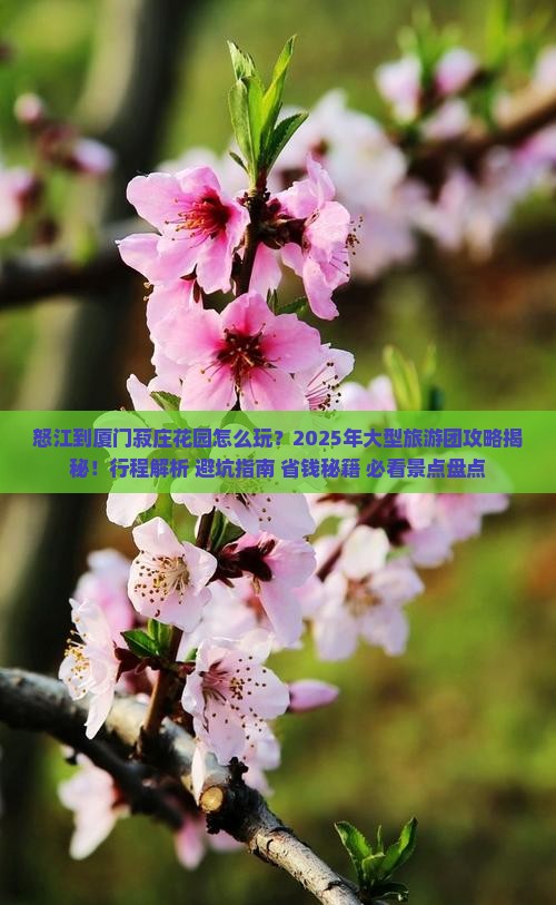 怒江到厦门菽庄花园大型旅游团
