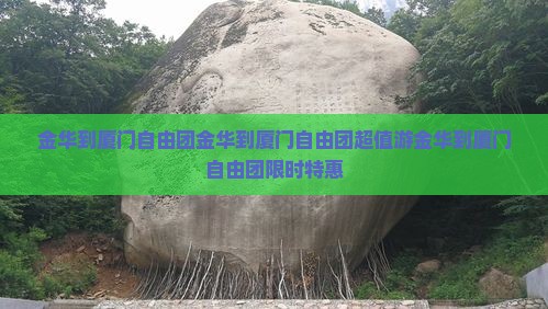 金华到厦门自由团
