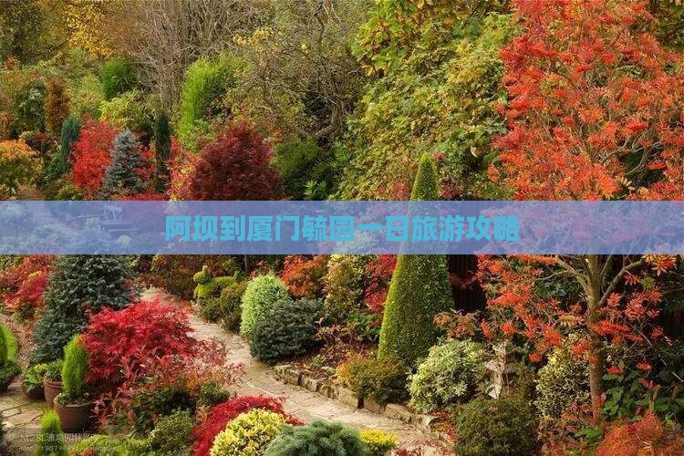 阿坝到厦门毓园一日