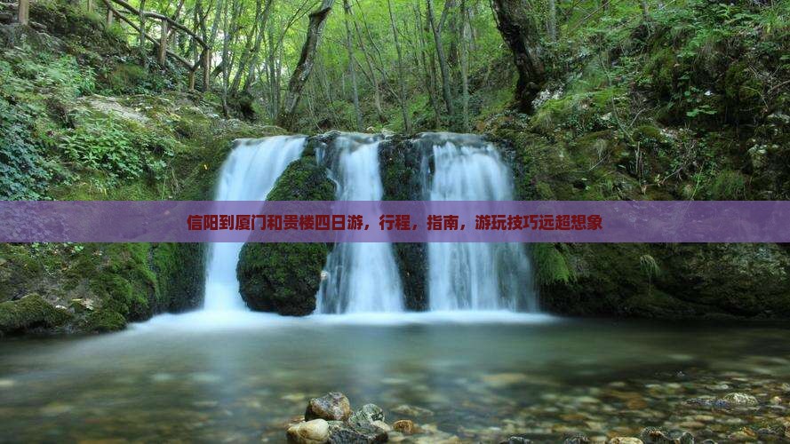 信阳到厦门和贵楼四日游