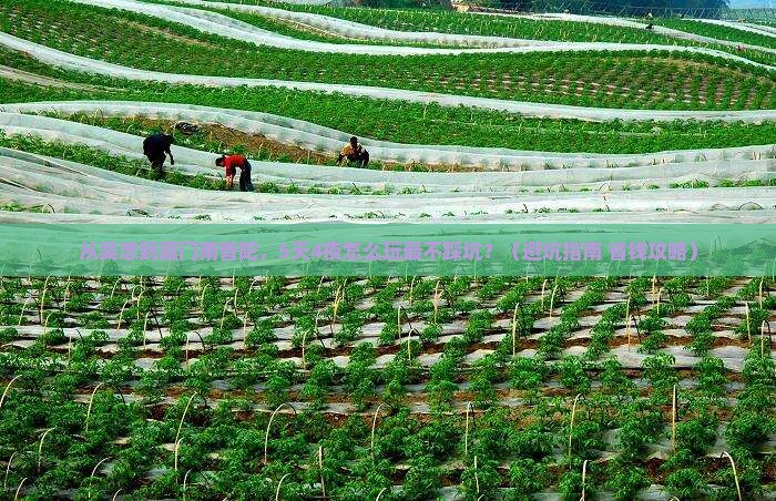 吴忠到厦门南普陀大型旅游团