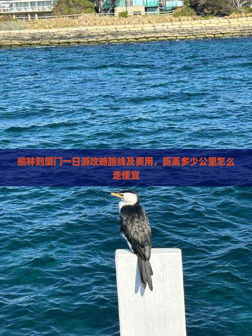 榆林到厦门一日