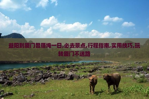 益阳到厦门曾厝埯一日