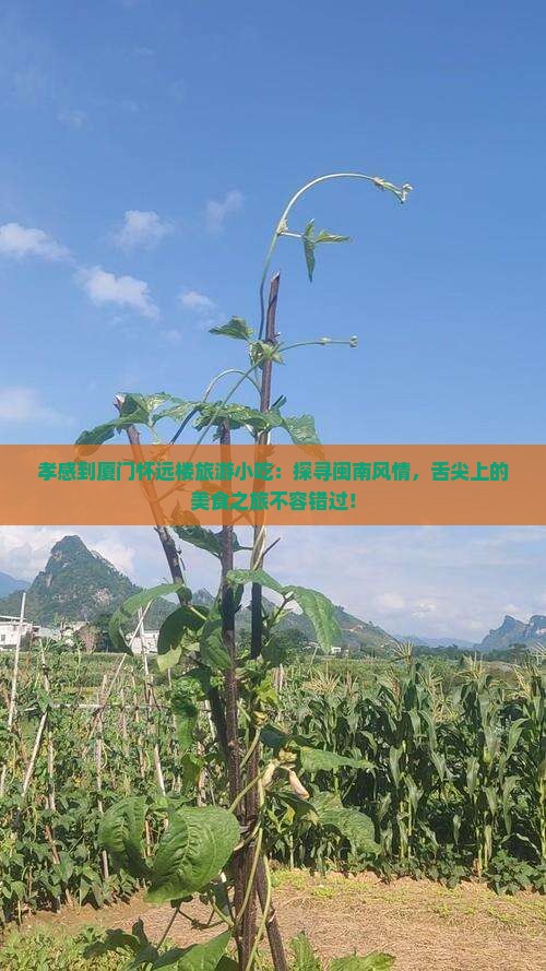 孝感到厦门怀远楼旅游小吃
