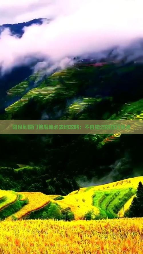 阳泉到厦门曾厝埯必去地