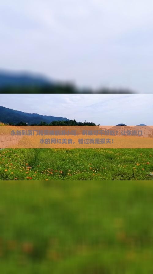 永新到厦门和贵楼旅游小吃