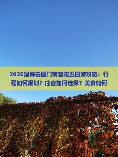 淄博去厦门南普陀五日游
