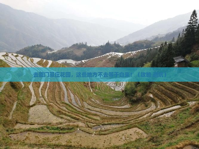 国庆节到厦门菽庄花园必去地