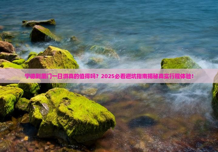 宁德到厦门一日
