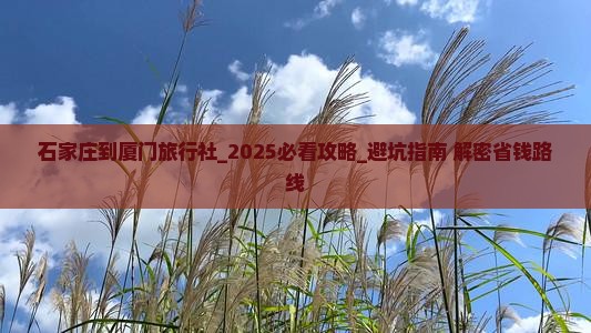 石家庄到厦门旅行社