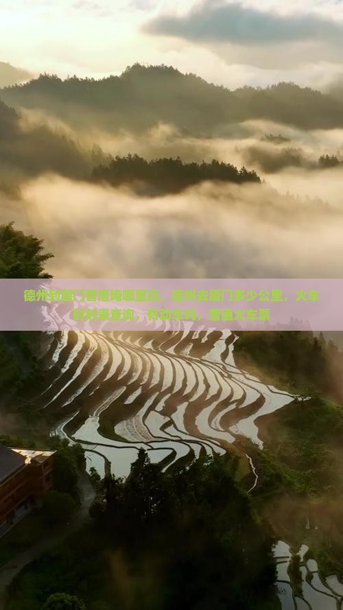 德州到厦门曾厝埯哪里玩