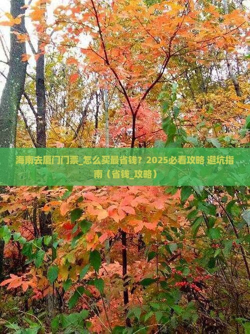 海南去厦门门票