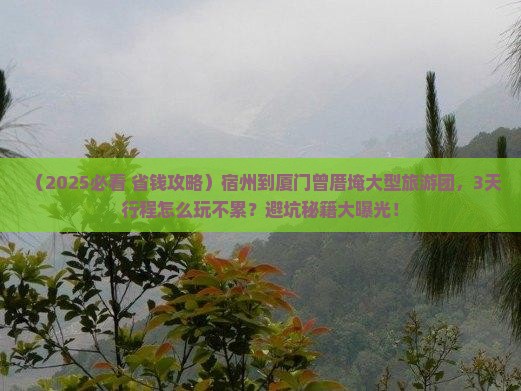 宿州到厦门曾厝埯大型旅游团