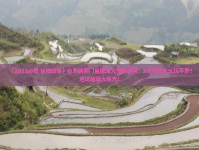 宿州到厦门曾厝埯大型旅游团