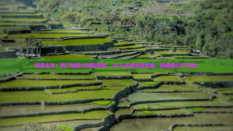 和县到厦门毓园大型旅游团