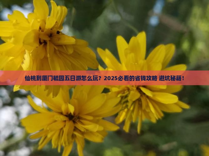 仙桃到厦门毓园五日游