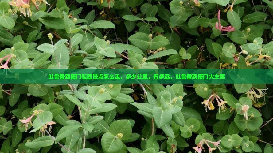 吐鲁番到厦门毓园景点