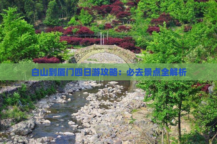 白山到厦门四日游