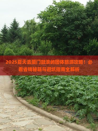 夏天去厦门鼓浪屿团体旅游