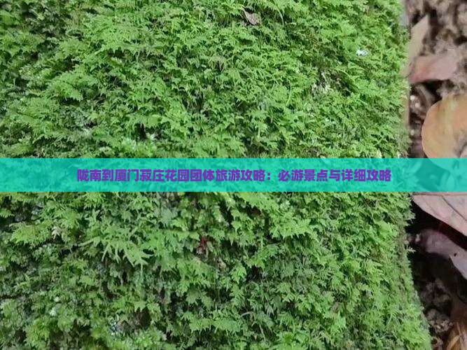 陇南到厦门菽庄花园团体旅游 陇南到厦门菽庄花园团体旅游