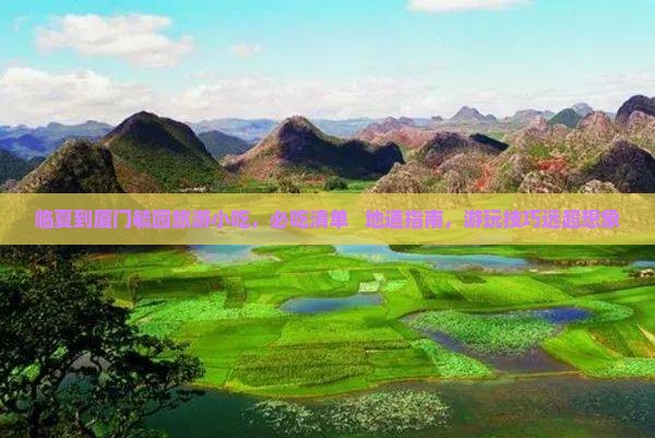 临夏到厦门毓园旅游小吃