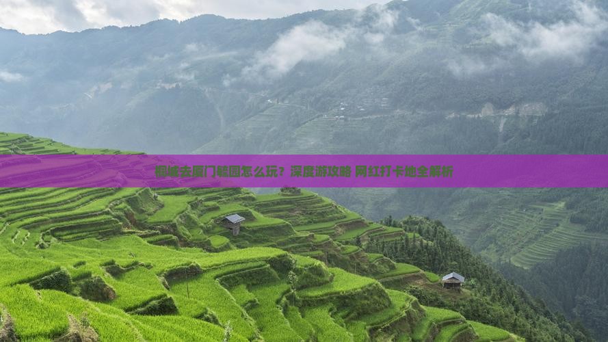 桐城去厦门毓园旅行社