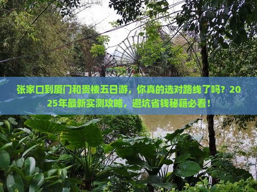 张家口到厦门和贵楼五日游