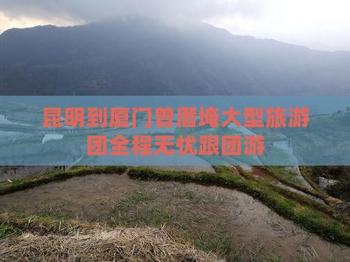 昆明到厦门曾厝埯大型旅游团