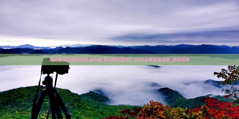 临沂去厦门鼓浪屿旅游小吃